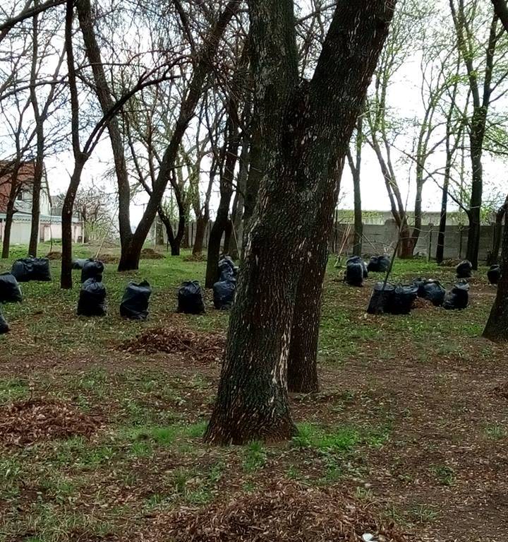 subbotnik.jpg2