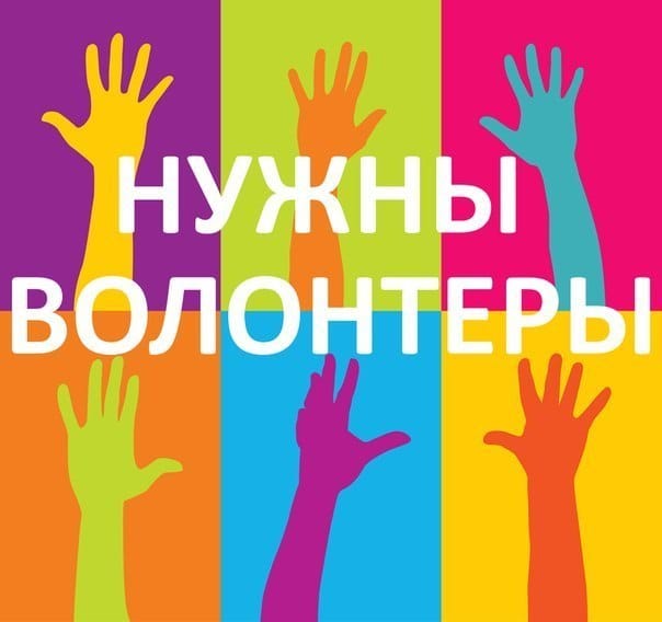 39777359 290040828247843 7425939592257208320 n
