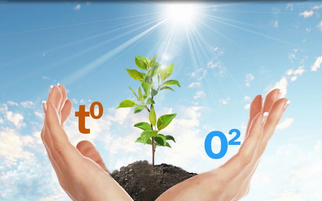 plant 1024x640 1