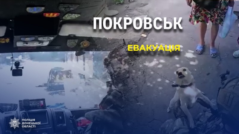 img 9ae6cfcd94eb8c025af3c28ac88d92c2